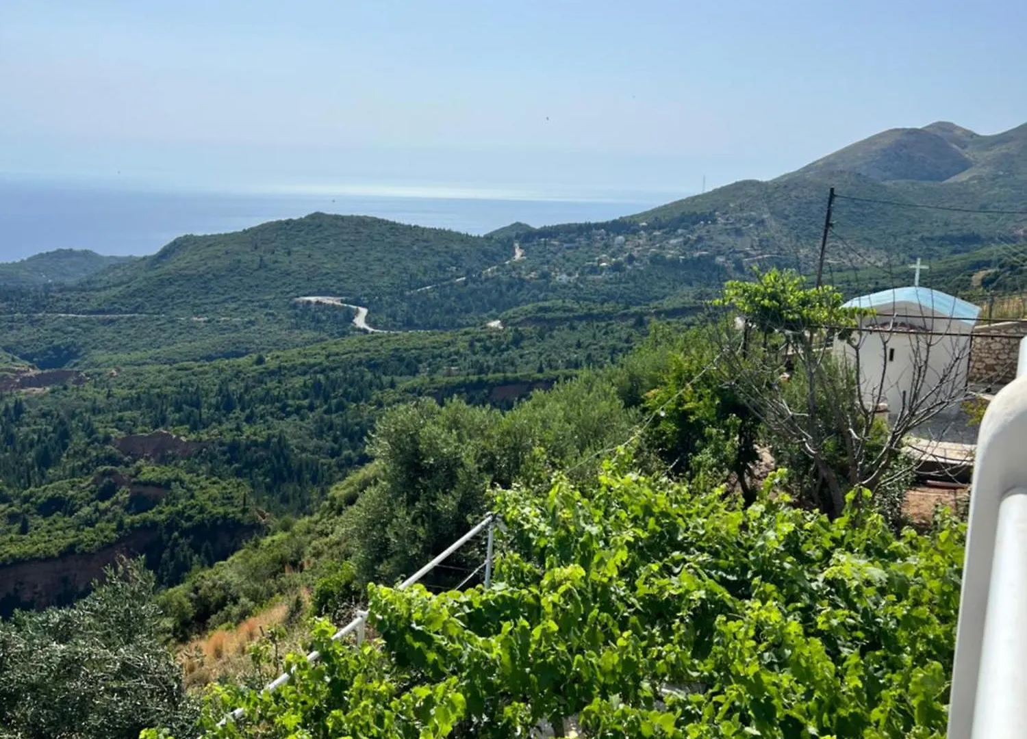 Villa Filip Vuno Guest house